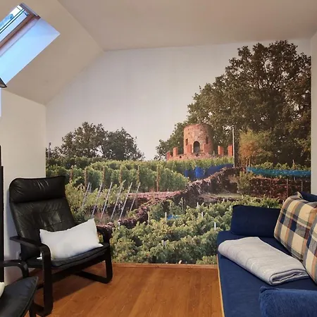 Winzerglück Apartment *